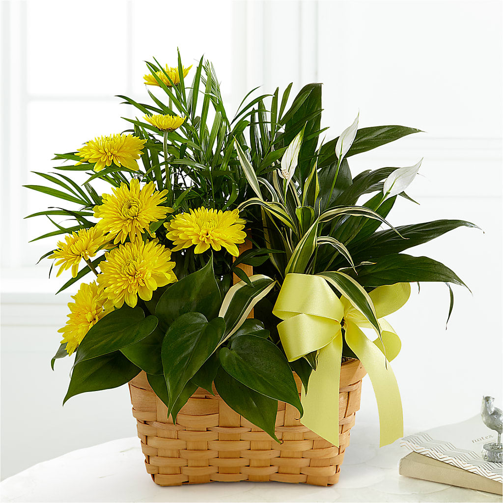 Loving Light Dishgarden – Riverside Floral, Tillamook OR