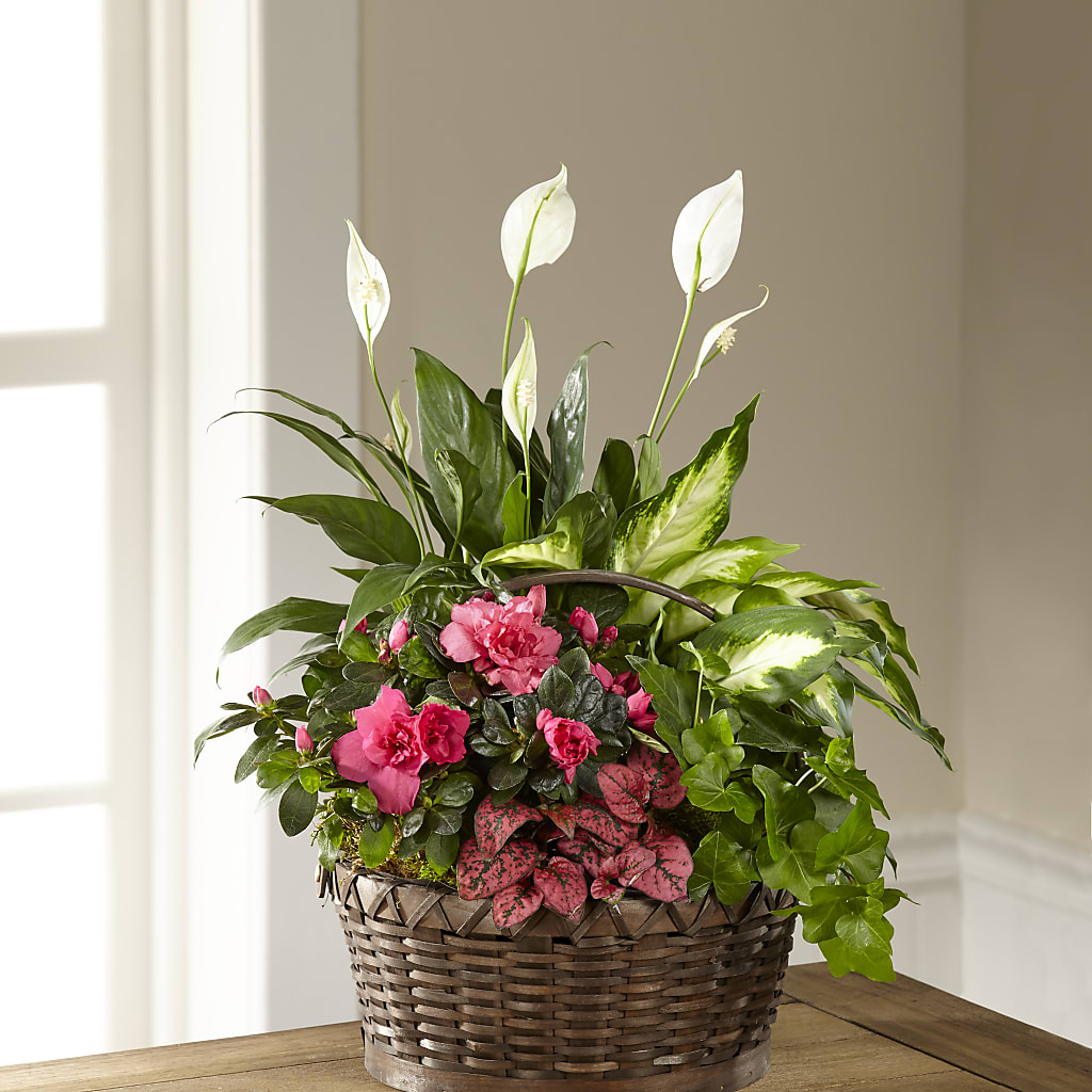 Dream in Pink Dishgarden – Riverside Floral, Tillamook OR