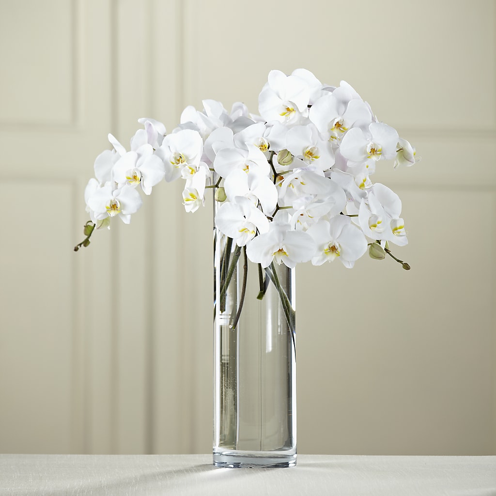 White Phalaenopsis Bouquet – Riverside Floral, Tillamook OR