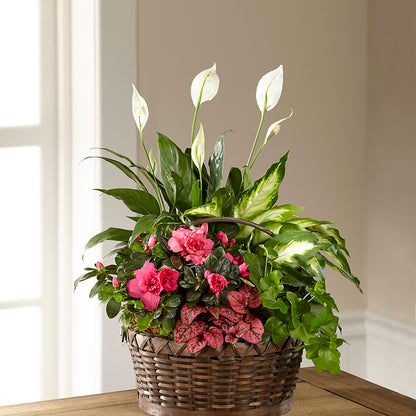 Dream in Pink Dishgarden –  Riverside Floral, Tillamook OR