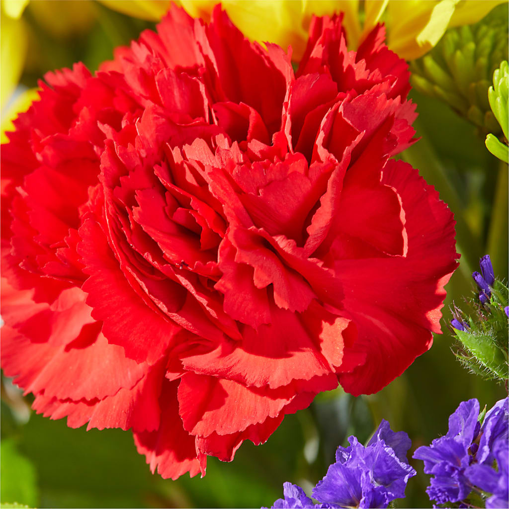 Brighter Days Bouquet –  Riverside Floral, Tillamook OR